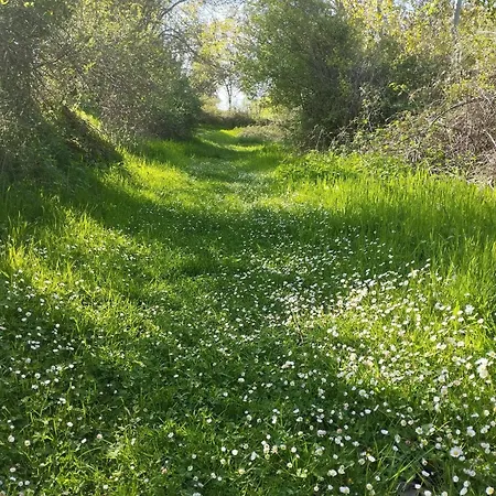 بيت للعطل El Portal De Castroserna