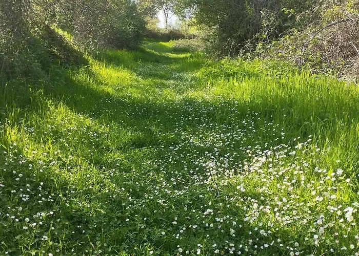 בית נופש El Portal De Castroserna